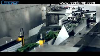 Automatic Flowpack Vegetable Packing Machine