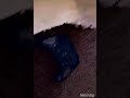 I found controller on my leg?