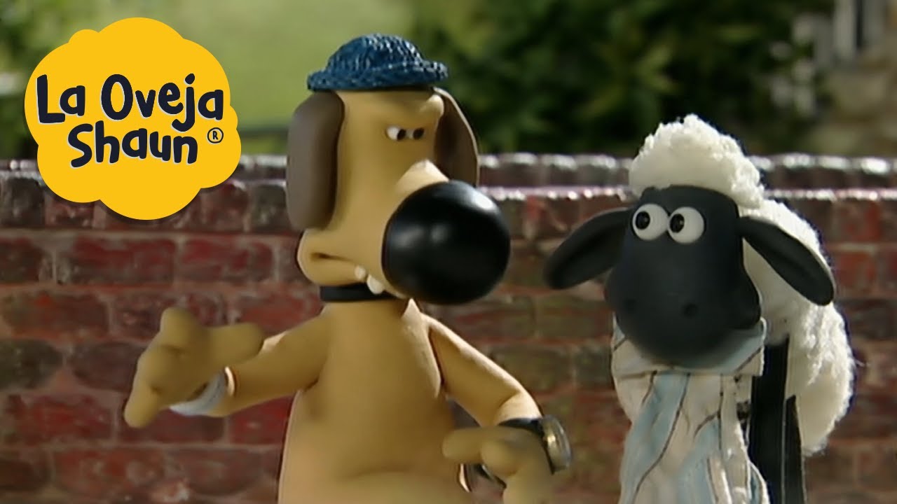 La Oveja Shaun 🐑 No te comas las toallas de piscina 🐑 Dibujos animados para niños