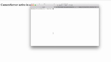 CameraServer web and CameraView web with Ros