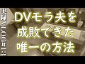 夫に離婚を宣告しましたvlog13柴犬|アラサー|家庭内別居