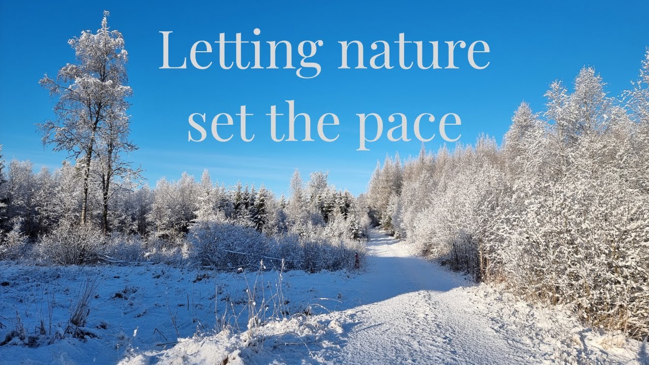 No New Year’s resolutions — this is what I choose instead | Winter in southern Sweden