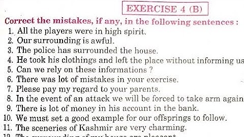 Exercise 4 B Noun Error from excellent book class 12 solved by Ramesh Sir