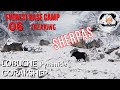 06 Camp de base de l'Everest. Lobuche -Gorakshep 5150m. Les héros de L'Everest, les sherpas!...