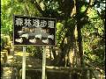 走在台灣的脊樑上-第007集 礁岩迷宮森林_墾丁森林步道