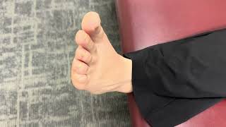 Ankle ROM