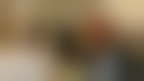 Steve DeAngelo & the Barcelona Tribe