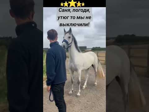 #юмор #шуточное #прикол