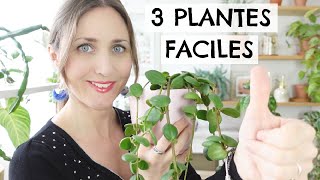 ? 3 plantes faciles à entretenir pour les débutants (et les plant-addicts confirmés ?) ??