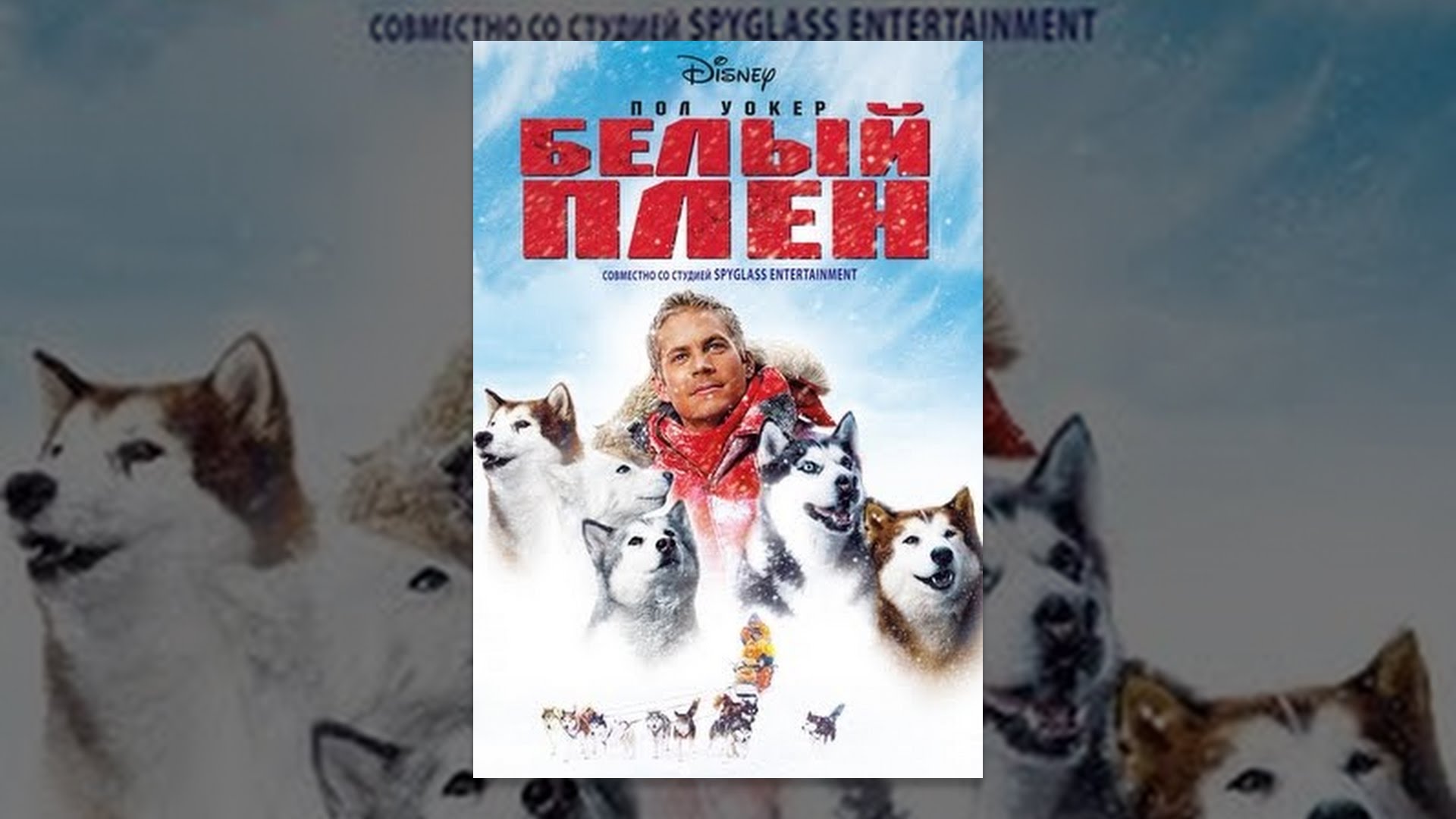 энигма белый плен. белый плен - eight below (2006). белый плен макс. белый плен 2. клип белый плен.