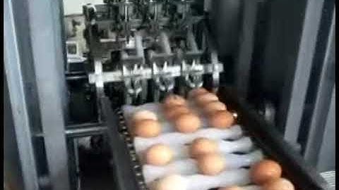 Liquid egg processing line