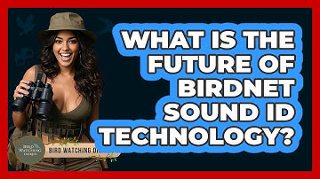 What Is The Future Of BirdNET Sound ID Technology? - Bird Watching Diaries