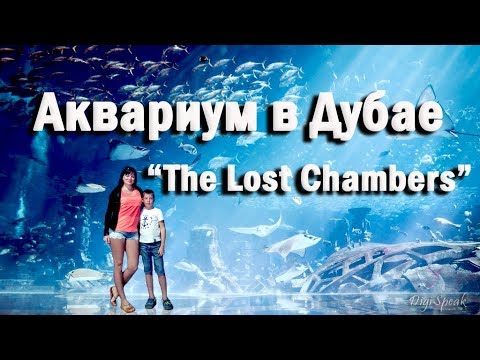 Дубаи. Аквариум The Lost Chambers. Aquarium in Dubai.