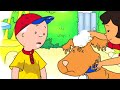 Caillou em Português ★ Caillou e o Cachorro Sujo ★ Compilação de Episódios ★ Desenho Animado