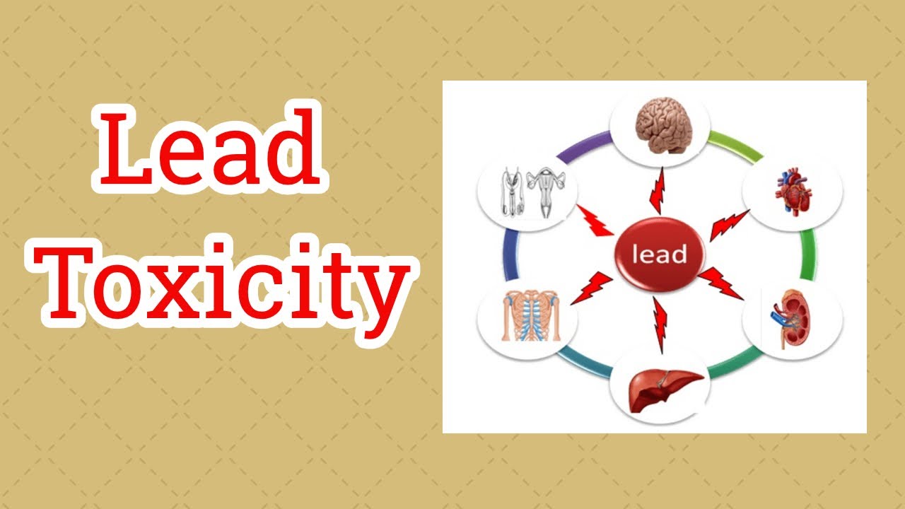 Lead Toxicity Toxicology Part 3 Human Exposure Mechanism Of Action Lead Toxicity Toxicology Part 3 Human Exposure Mechanism Of Action