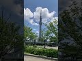 山谷堀広場 足つぼ 山谷堀水門 ♪ 東京スカイツリー 隅田公園 アジサイの花 紫陽花 ☆ Sumida Park Hydrangea Tokyo Skytree 2022