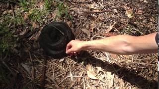 Diamond Python At Kamaroi Rudolf Steiner School In Belrose, Sydney