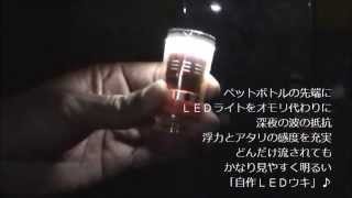 極寒釣りキャンプ防波堤の過ごし方(20話目)