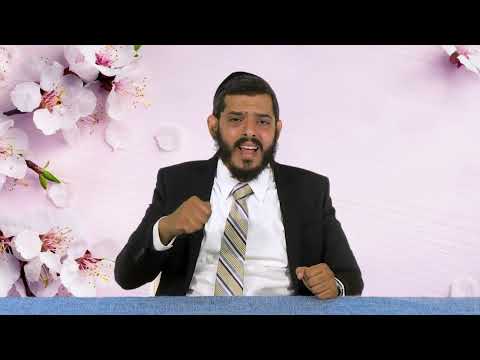 שלום בית | פרשת חקת | הרב צח ויאה