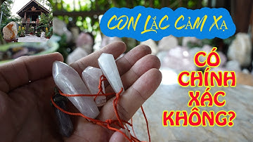Con Lắc Cảm Xạ Có Chính Xác Không? || XEM NGAY