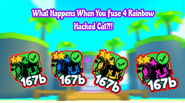 What Happens When You Fuse 4 Rainbow Hacked Cat?! In Pet Simulator X!!