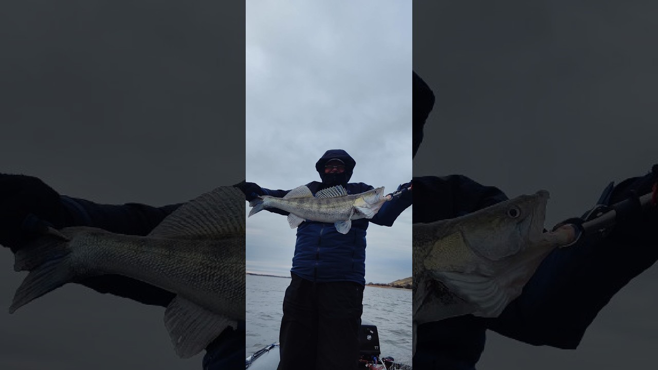 ДОН. СУДАК. КАК ОСТАТЬСЯ С ЯКОРЕМ ПРИ ЗАЦЕПЕ. #рыбалка #спінінг #fishing #рыба #рыбалкаиохота