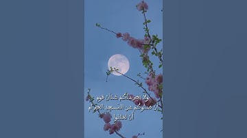 تلاوة من سورة المائدة #اكسبلور #قران_كريم #راحة_نفسية
