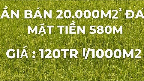 Cần bán 20.000m2 đất mặt tiền 580m giá 120tr 1 công đất huyện mộc hóa tỉnh Long An 