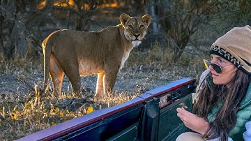 Botswana 🇧🇼 14 Day Safari (Moremi, Khwai, Chobe & Victoria Falls)