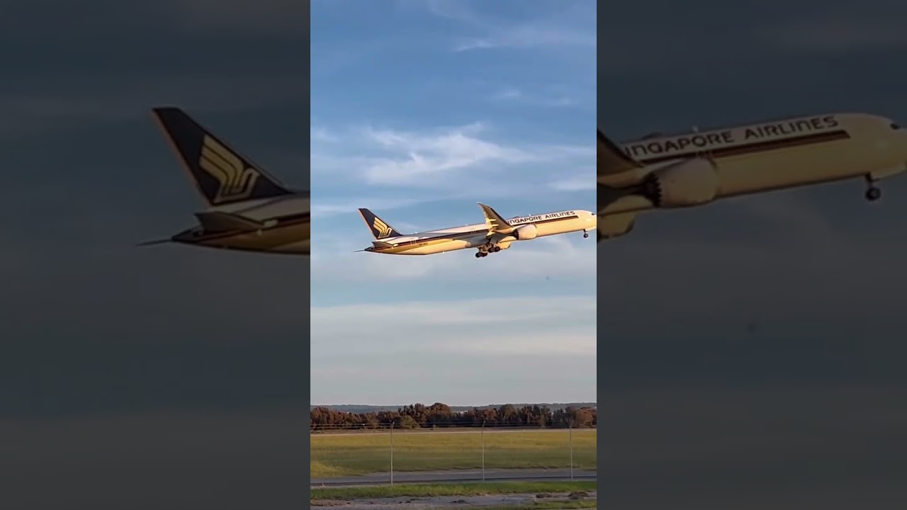 Singapore looked mystical in this light 