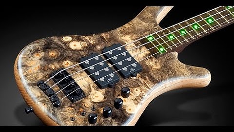 Warwick Custom Shop Masterbuilt - Corvette $$ 3/8" California Buck Eye Burl