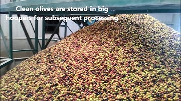 New application of Pulsed Electric Field in olive oil production