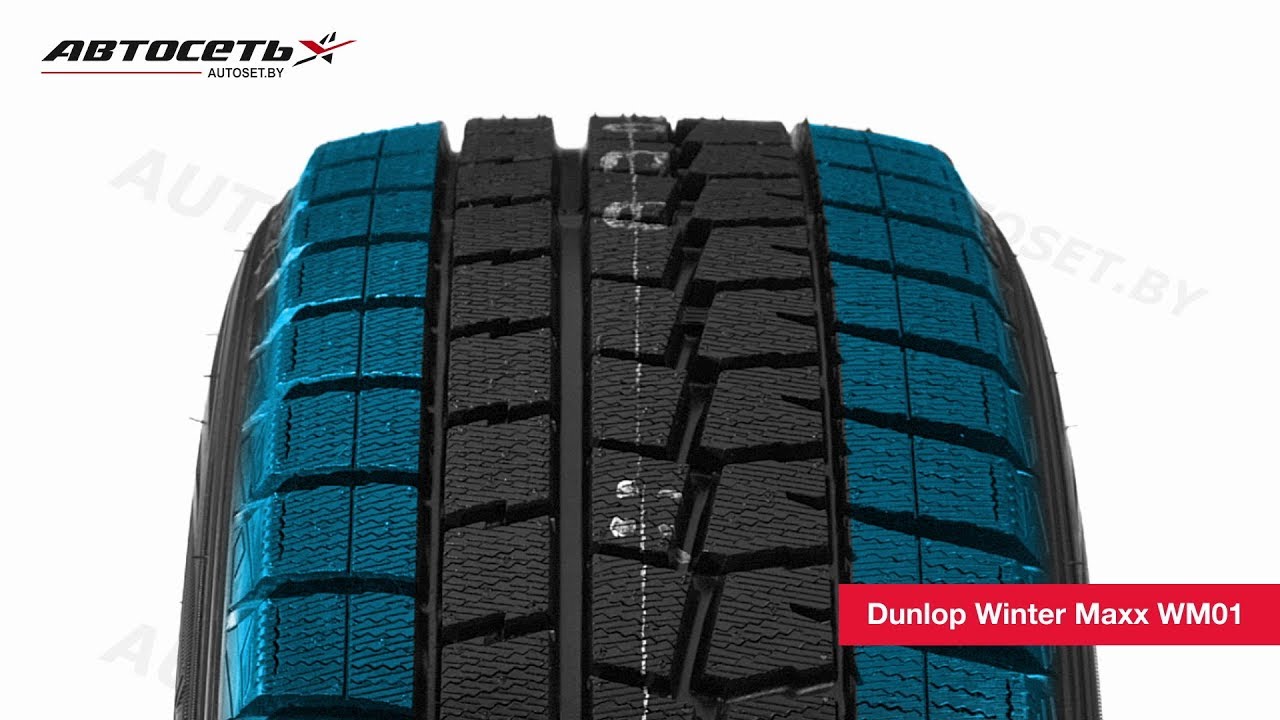Обзор зимней шины Dunlop Winter Maxx WM01 ○ Автосеть ○ - YouTube