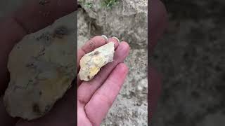 PF Spalding County GA