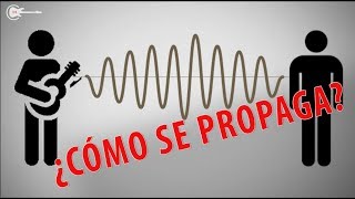 Hacer bien Amante Niño CÓMO SE PROPAGA EL SONIDO? - YouTube