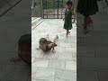 shreya vaani ki barish m msti