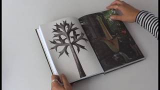 Pareidolia, De Joan Foncuberta