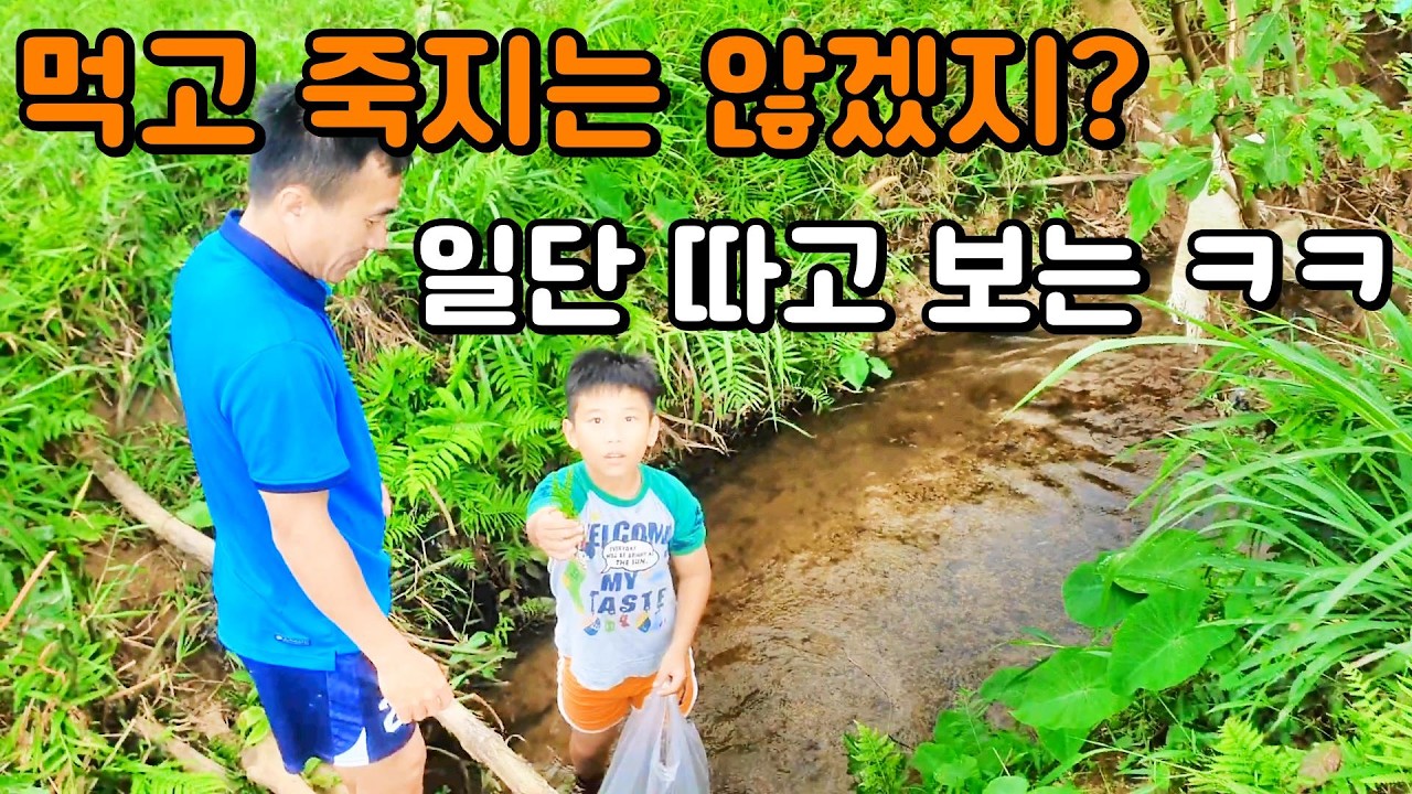 예전 한국과 너무나 비슷한 베트남 시골 #베트남 #베트남국제결혼 #베트남시골