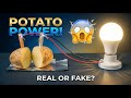 Potato Power Experiment – LED ON or Not?
