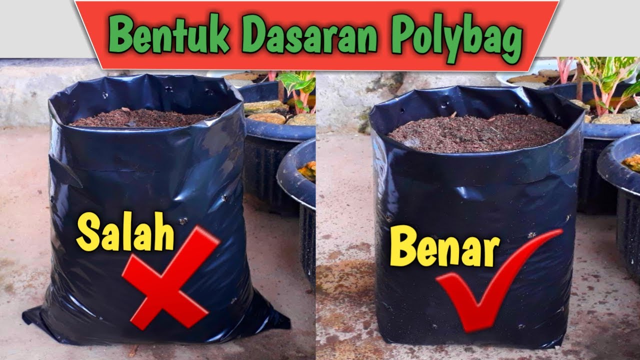 Cara Pembuatan Polybag yang Benar untuk Media Tanam - YouTube