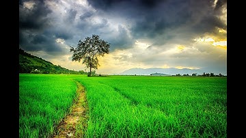 Abrahamin Daivam Nalkum | Malayalam Christian Devotional Song