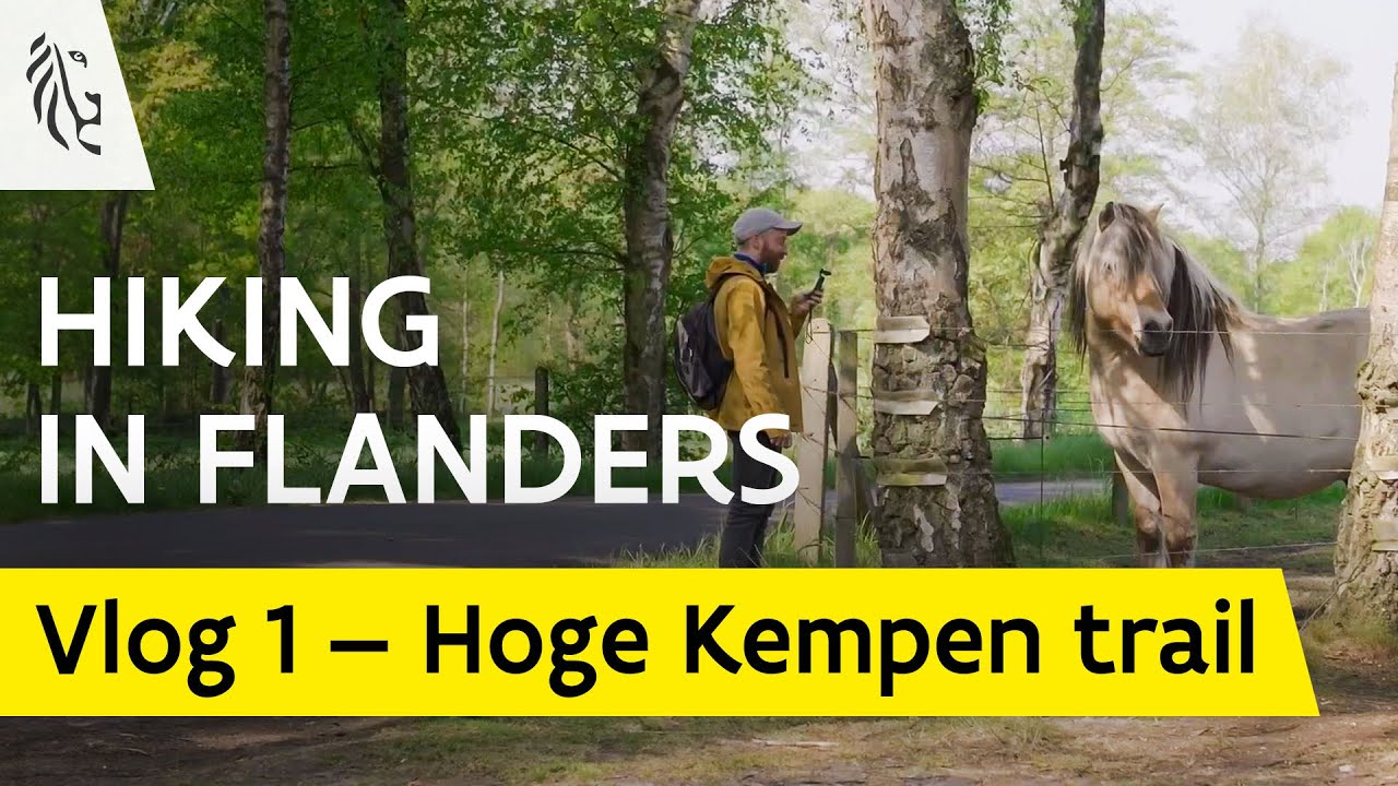 Long Distance Hiking Trail at National Park Hoge Kempen in Limburg – Vlog 1