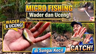 MANCING UCENG || MICRO FISHING