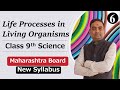 Life Processes in Living Organisms Class 9th Science Part 6