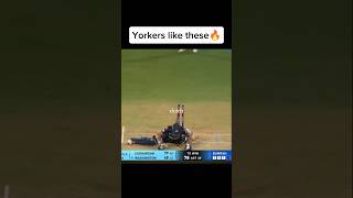 Jasprit Bumrah&#39;s Yorker #cricket #jaspritbumrah #cricketlover #cricketnews #cricketshorts #kohli