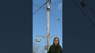 Kundas and the economics of electricity theft