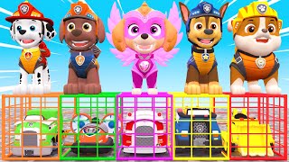 PAW Patrol : Guess The Right Door With Tire Game Mighty Pups Ultimate Rescue Max Level LONG LEGS #27