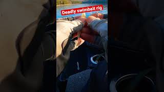 Deadly Winter Swimbait Rig