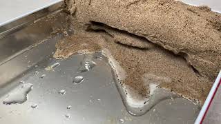 Coastal Erosion - Hydraulic Action