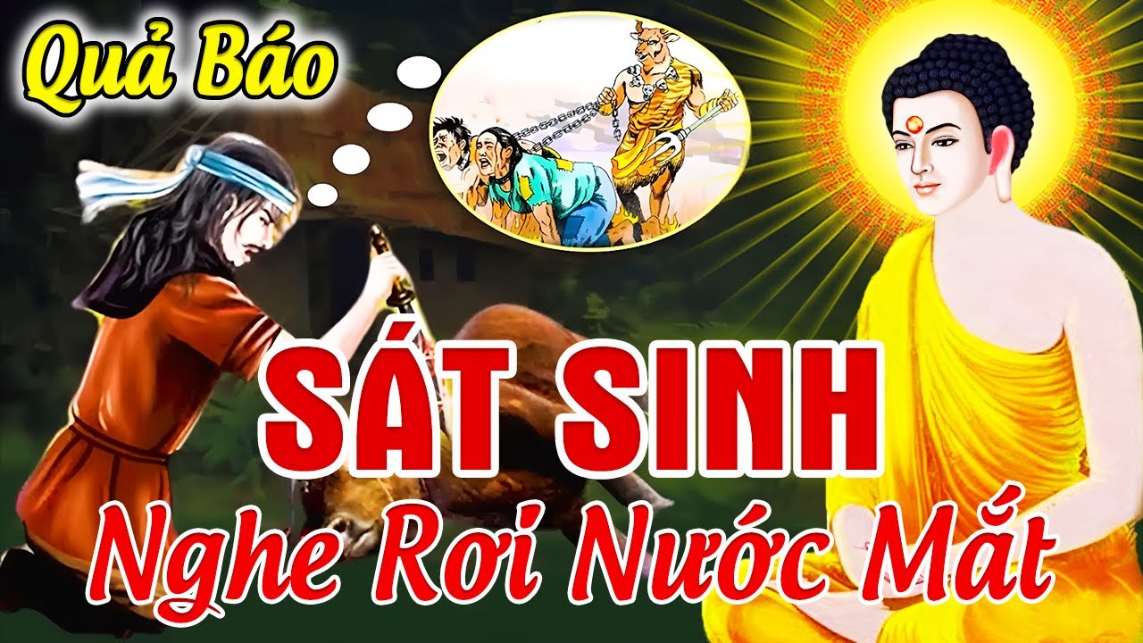 Nghe Rơi Nước Mắt, QUẢ BÁO SÁT SINH Chuyện Nhân Quả Báo Ứng Có Thật Ai Cũng Nên Nghe 1 Lần | Truyện